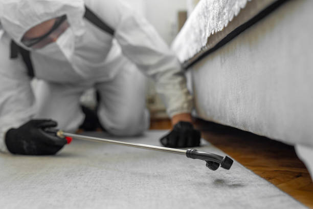 Professional Bed Bug Control technician working in Albion, IN