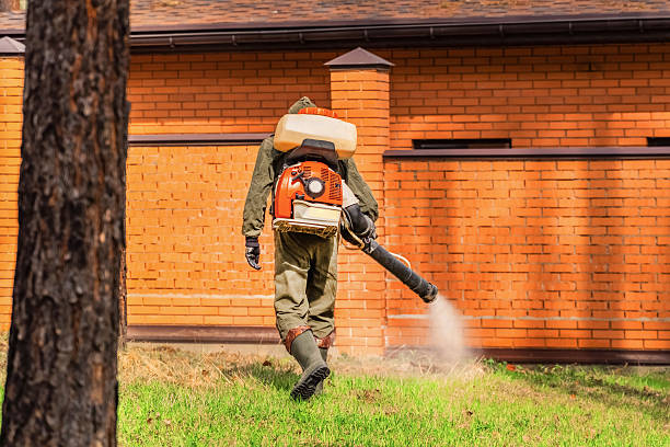 Trusted Bed Bug Control service in Albion, IN - Nex Pest Control